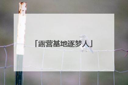 露营基地逐梦人