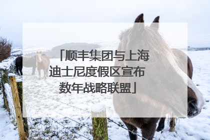 顺丰集团与上海迪士尼度假区宣布数年战略联盟