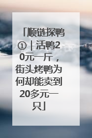 顺链探鸭①｜活鸭20元一斤，街头烤鸭为何却能卖到20多元一只