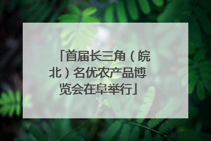 首届长三角（皖北）名优农产品博览会在阜举行