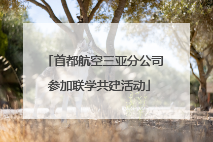 首都航空三亚分公司参加联学共建活动