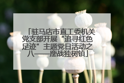驻马店市直工委机关党支部开展“追寻红色足迹”主题党日活动之八——鏖战独树镇