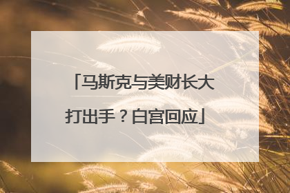 马斯克与美财长大打出手？白宫回应