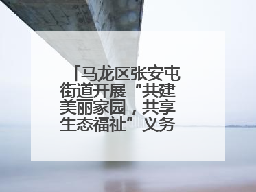 马龙区张安屯街道开展“共建美丽家园，共享生态福祉”义务植树主题活动