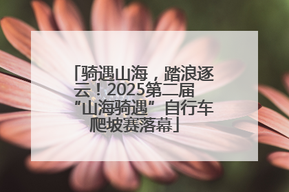 骑遇山海，踏浪逐云！2025第二届“山海骑遇”自行车爬坡赛落幕