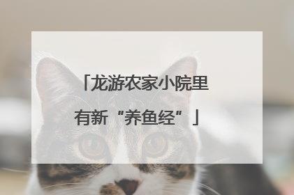 龙游农家小院里有新“养鱼经”