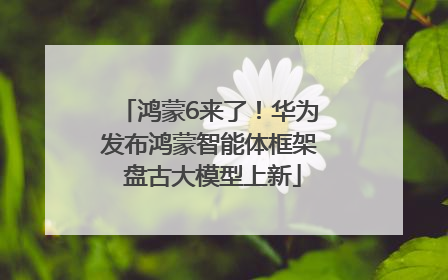 鸿蒙6来了！华为发布鸿蒙智能体框架 盘古大模型上新