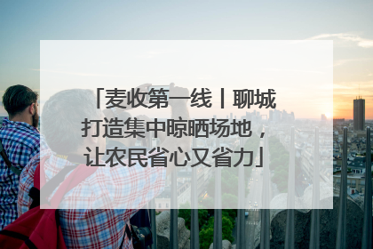 麦收第一线丨聊城打造集中晾晒场地，让农民省心又省力