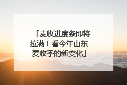 麦收进度条即将拉满！看今年山东麦收季的新变化