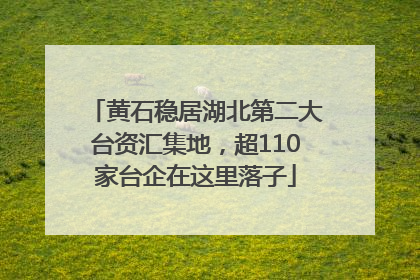 黄石稳居湖北第二大台资汇集地，超110家台企在这里落子