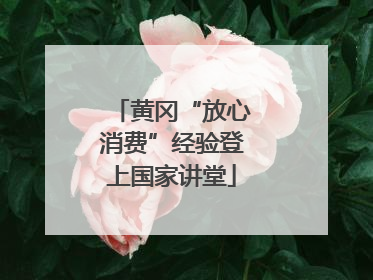 黄冈“放心消费”经验登上国家讲堂