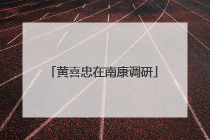 黄喜忠在南康调研