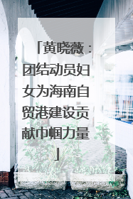 黄晓薇：团结动员妇女为海南自贸港建设贡献巾帼力量