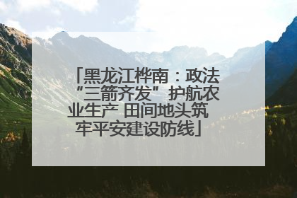 黑龙江桦南：政法“三箭齐发”护航农业生产 田间地头筑牢平安建设防线