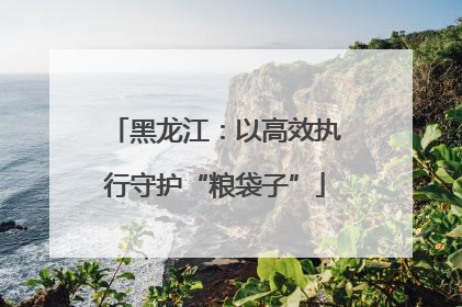 黑龙江：以高效执行守护“粮袋子”