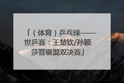 （体育）乒乓球——世乒赛：王楚钦/孙颖莎晋级混双决赛