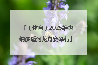 （体育）2025维也纳多瑙河龙舟赛举行