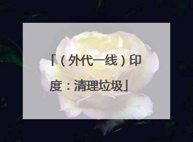 （外代一线）印度：清理垃圾