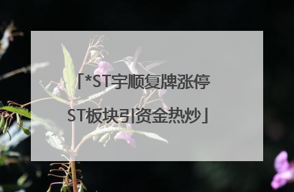 *ST宇顺复牌涨停 ST板块引资金热炒