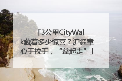3公里CityWalk藏着多少惊喜？沪疆童心手拉手，“益起走”