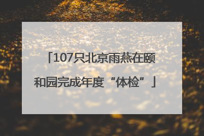 107只北京雨燕在颐和园完成年度“体检”