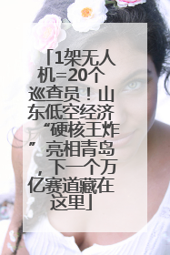 1架无人机=20个巡查员！山东低空经济“硬核王炸”亮相青岛，下一个万亿赛道藏在这里
