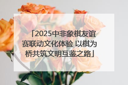 2025中非象棋友谊赛联动文化体验 以棋为桥共筑文明互鉴之路