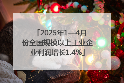 2025年1—4月份全国规模以上工业企业利润增长1.4%