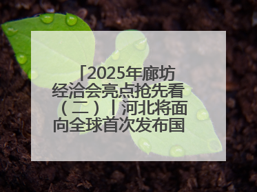2025年廊坊经洽会亮点抢先看（二）丨河北将面向全球首次发布国际化招商地图