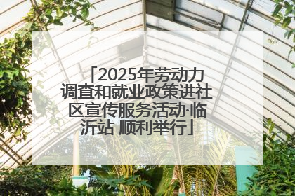 2025年劳动力调查和就业政策进社区宣传服务活动·临沂站 顺利举行