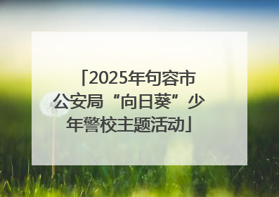 2025年句容市公安局“向日葵”少年警校主题活动