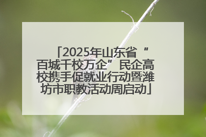 2025年山东省“百城千校万企”民企高校携手促就业行动暨潍坊市职教活动周启动