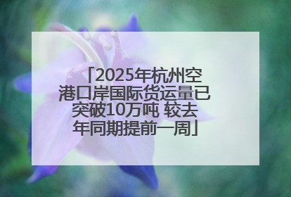 2025年杭州空港口岸国际货运量已突破10万吨 较去年同期提前一周