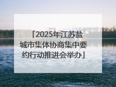 2025年江苏盐城市集体协商集中要约行动推进会举办