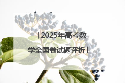 2025年高考数学全国卷试题评析