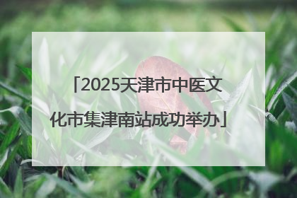 2025天津市中医文化市集津南站成功举办