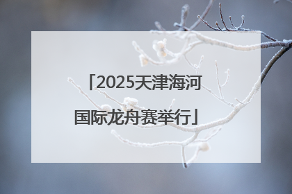 2025天津海河国际龙舟赛举行