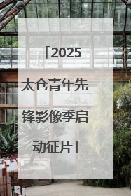 2025太仓青年先锋影像季启动征片