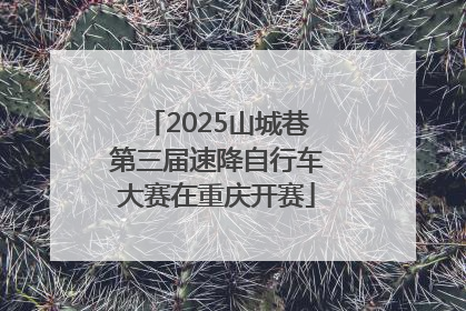 2025山城巷第三届速降自行车大赛在重庆开赛