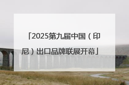 2025第九届中国（印尼）出口品牌联展开幕