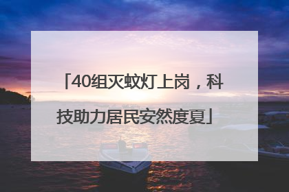 40组灭蚊灯上岗，科技助力居民安然度夏