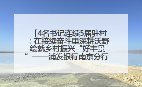 4名书记连续5届驻村：在接续奋斗里深耕沃野 绘就乡村振兴“好丰景”——浦发银行南京分行助力脱贫攻坚、帮促乡村振兴记事（二）