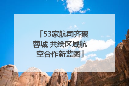 53家航司齐聚蓉城 共绘区域航空合作新蓝图