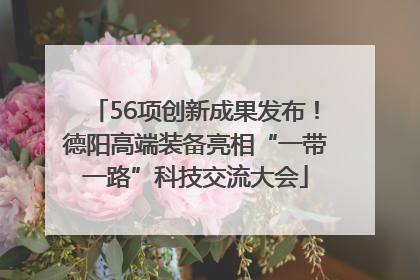 56项创新成果发布！德阳高端装备亮相“一带一路”科技交流大会