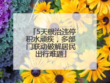 5天根治违停积水顽疾，多部门联动破解居民出行难题