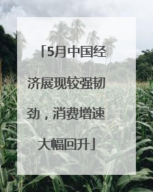 5月中国经济展现较强韧劲，消费增速大幅回升