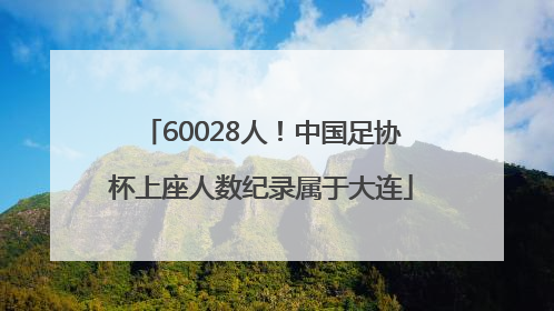 60028人！中国足协杯上座人数纪录属于大连