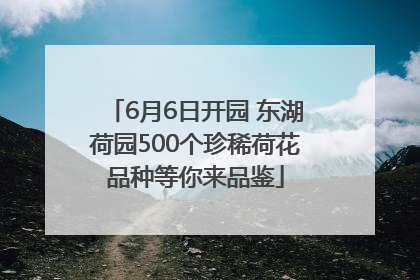 6月6日开园 东湖荷园500个珍稀荷花品种等你来品鉴