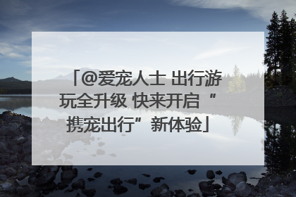 @爱宠人士 出行游玩全升级 快来开启“携宠出行”新体验
