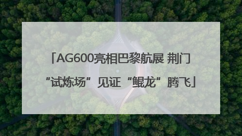 AG600亮相巴黎航展 荆门“试炼场”见证“鲲龙”腾飞